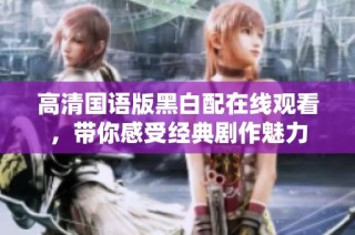 高清国语版黑白配在线观看，带你感受经典剧作魅力