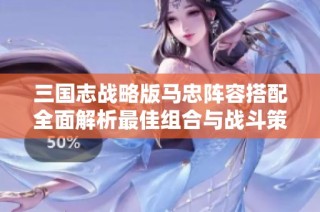 三国志战略版马忠阵容搭配全面解析最佳组合与战斗策略指南