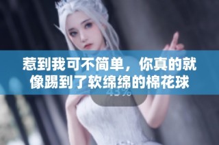 惹到我可不简单，你真的就像踢到了软绵绵的棉花球