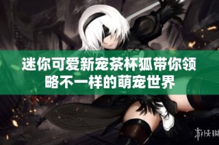 迷你可爱新宠茶杯狐带你领略不一样的萌宠世界