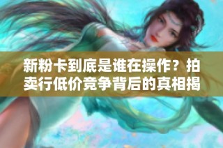 新粉卡到底是谁在操作？拍卖行低价竞争背后的真相揭秘！