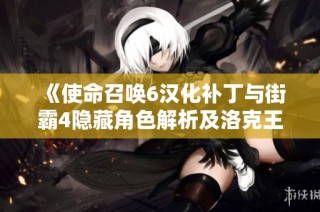 《使命召唤6汉化补丁与街霸4隐藏角色解析及洛克王国新玩法》