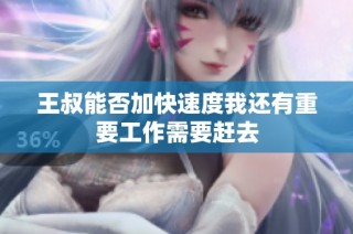 王叔能否加快速度我还有重要工作需要赶去