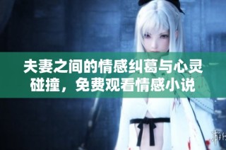 夫妻之间的情感纠葛与心灵碰撞，免费观看情感小说
