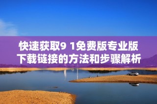 快速获取9 1免费版专业版下载链接的方法和步骤解析