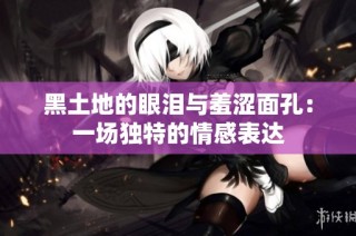 黑土地的眼泪与羞涩面孔：一场独特的情感表达