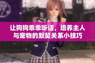 让狗狗乖乖听话，培养主人与宠物的默契关系小技巧