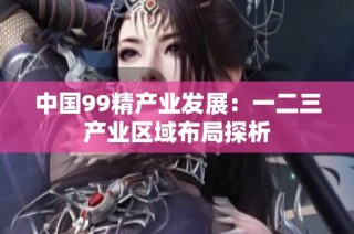 中国99精产业发展：一二三产业区域布局探析