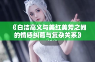 《白洁高义与美红美芳之间的情感纠葛与复杂关系》