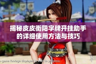 揭秘皮皮衡阳字牌开挂助手的详细使用方法与技巧
