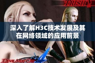 深入了解H3C技术发展及其在网络领域的应用前景