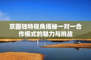 京圈独特视角揭秘一对一合作模式的魅力与挑战