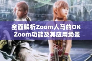 全面解析Zoom人马的OK Zoom功能及其应用场景