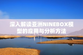 深入解读亚洲NINEBOX模型的应用与分析方法