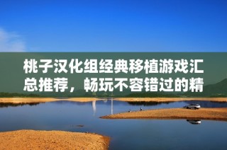 桃子汉化组经典移植游戏汇总推荐，畅玩不容错过的精彩作品