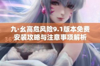 九·幺高危风险9.1版本免费安装攻略与注意事项解析