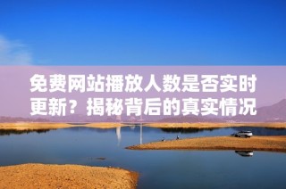 免费网站播放人数是否实时更新？揭秘背后的真实情况与影响