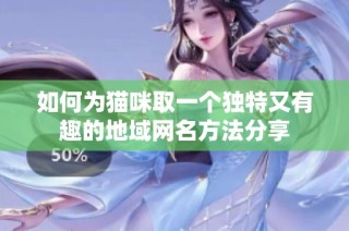 如何为猫咪取一个独特又有趣的地域网名方法分享