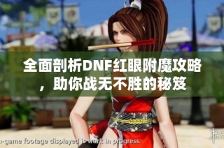 全面剖析DNF红眼附魔攻略，助你战无不胜的秘笈