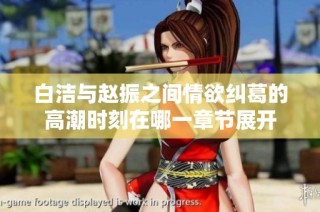 白洁与赵振之间情欲纠葛的高潮时刻在哪一章节展开