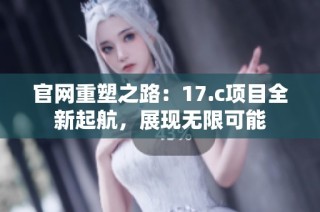 官网重塑之路：17.c项目全新起航，展现无限可能