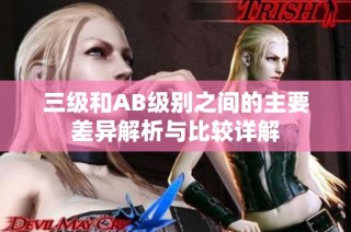 三级和AB级别之间的主要差异解析与比较详解