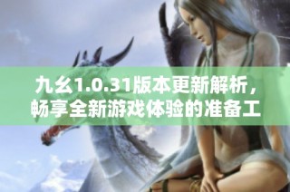 九幺1.0.31版本更新解析，畅享全新游戏体验的准备工作