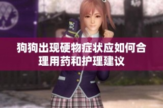 狗狗出现硬物症状应如何合理用药和护理建议
