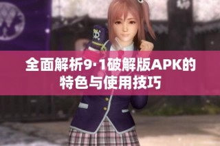 全面解析9·1破解版APK的特色与使用技巧