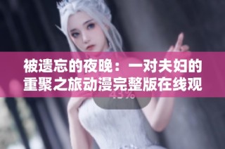 被遗忘的夜晚：一对夫妇的重聚之旅动漫完整版在线观看