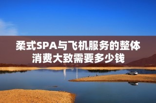 柔式SPA与飞机服务的整体消费大致需要多少钱