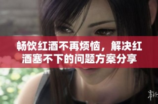 畅饮红酒不再烦恼，解决红酒塞不下的问题方案分享
