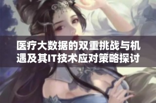 医疗大数据的双重挑战与机遇及其IT技术应对策略探讨