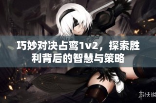 巧妙对决占鸾1v2，探索胜利背后的智慧与策略