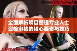 全面解析项目管理专业人士资格审核的核心要素与技巧