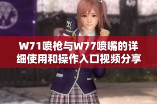 W71喷枪与W77喷嘴的详细使用和操作入口视频分享