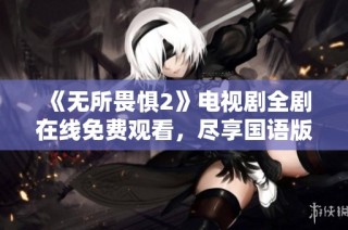 《无所畏惧2》电视剧全剧在线免费观看，尽享国语版精彩剧情！