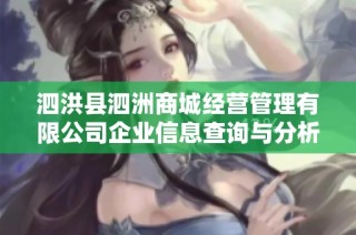 泗洪县泗洲商城经营管理有限公司企业信息查询与分析