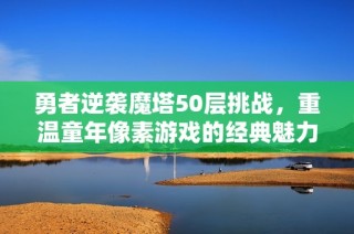 勇者逆袭魔塔50层挑战，重温童年像素游戏的经典魅力