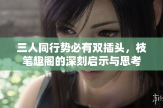 三人同行势必有双插头，枝笔趣阁的深刻启示与思考