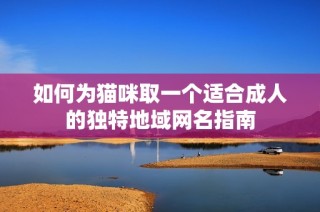 如何为猫咪取一个适合成人的独特地域网名指南