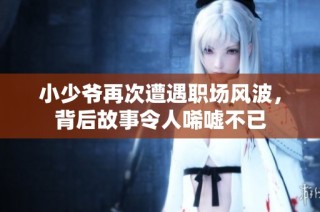 小少爷再次遭遇职场风波，背后故事令人唏嘘不已