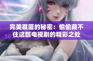 完美藏匿的秘密：偷偷藏不住这部电视剧的精彩之处