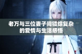 老万与三位妻子间错综复杂的爱情与生活感悟