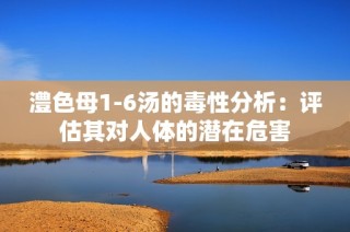 澧色母1-6汤的毒性分析：评估其对人体的潜在危害