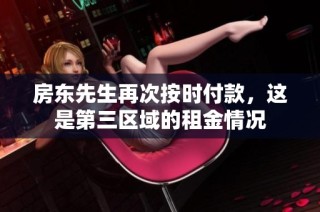 房东先生再次按时付款，这是第三区域的租金情况