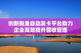 创新鲍鱼自动发卡平台助力企业高效提升营收管理