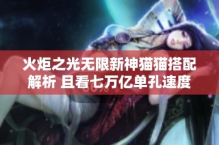 火炬之光无限新神猫猫搭配解析 且看七万亿单孔速度与200冷却技巧