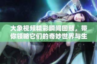 大象视频精彩瞬间回顾，带你领略它们的奇妙世界与生活魅力