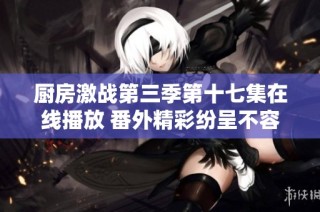 厨房激战第三季第十七集在线播放 番外精彩纷呈不容错过